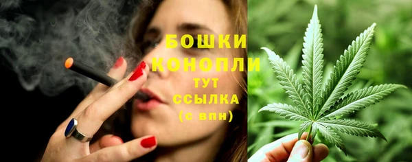 дживик Дмитров