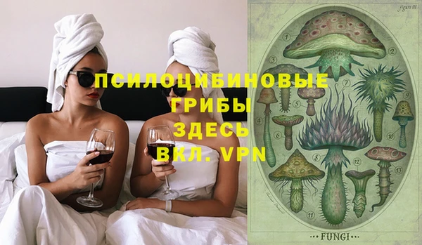 прущие крисы Дмитриев