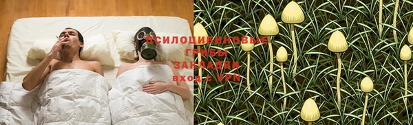 дживик Дмитров