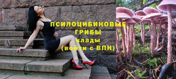 прущие крисы Дмитриев