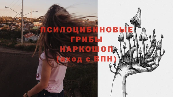 дживик Дмитров