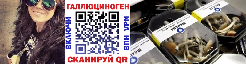 Псилоцибиновые грибы MAGIC MUSHROOMS  Первомайск 