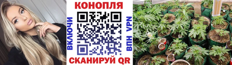 Бошки марихуана OG Kush  ссылка на мегу ONION  Первомайск 
